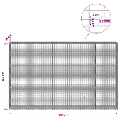 Gabion with 5 mm Wire and 5x2.5 cm Mesh 250x30x150 cm