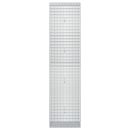 Gabion with 5 mm Wire and 5x2.5 cm Mesh 50x30x200 cm