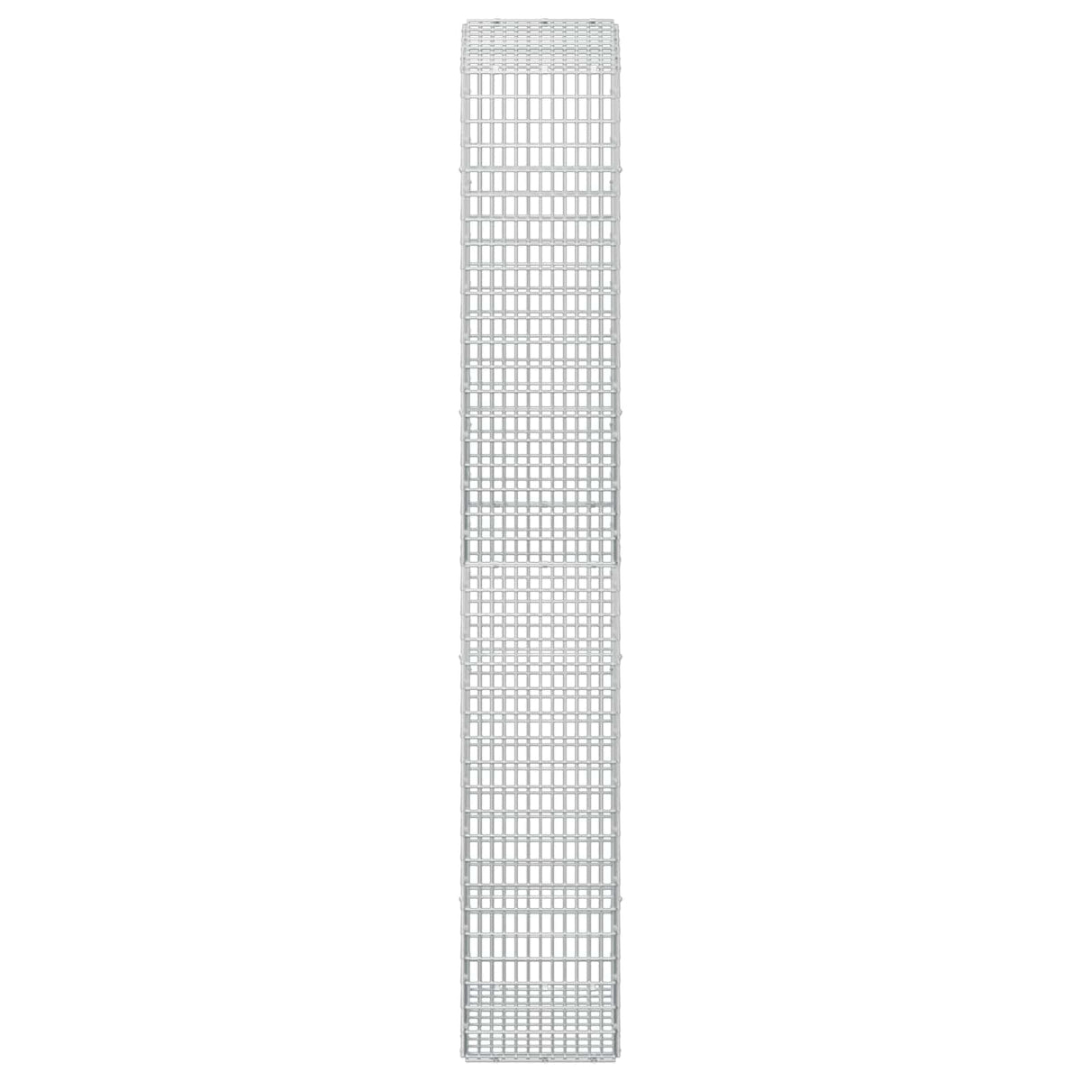 Gabion with 5 mm Wire and 5x2.5 cm Mesh 50x30x200 cm