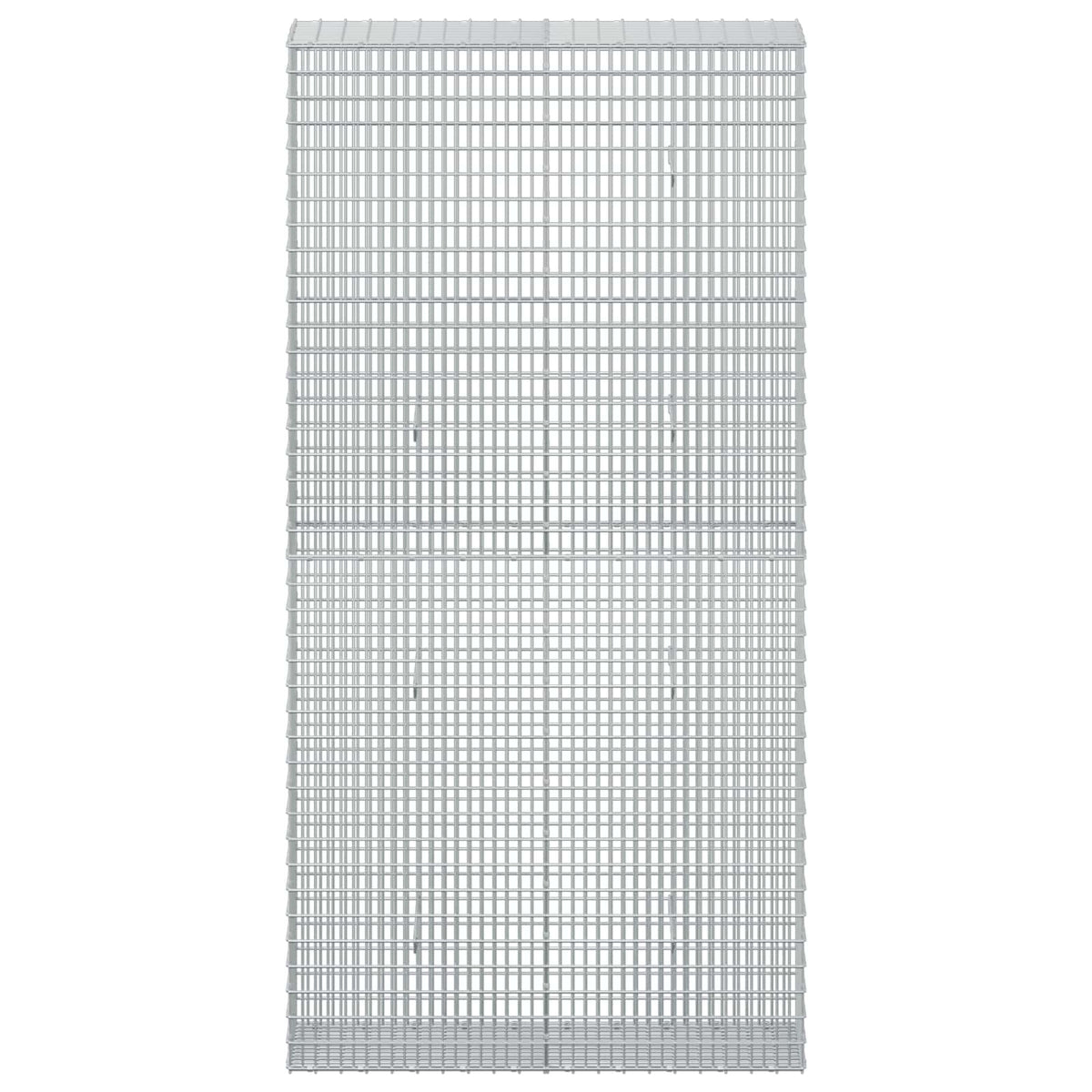 Gabion with 5 mm Wire and 5x2.5 cm Mesh 100x30x200 cm