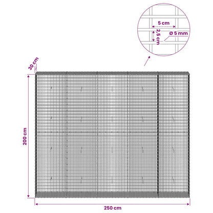 Gabion with 5 mm Wire and 5x2.5 cm Mesh 250x30x200 cm