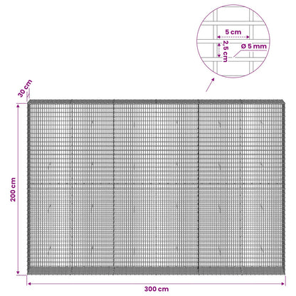 Gabion with 5 mm Wire and 5x2.5 cm Mesh 300x30x200 cm