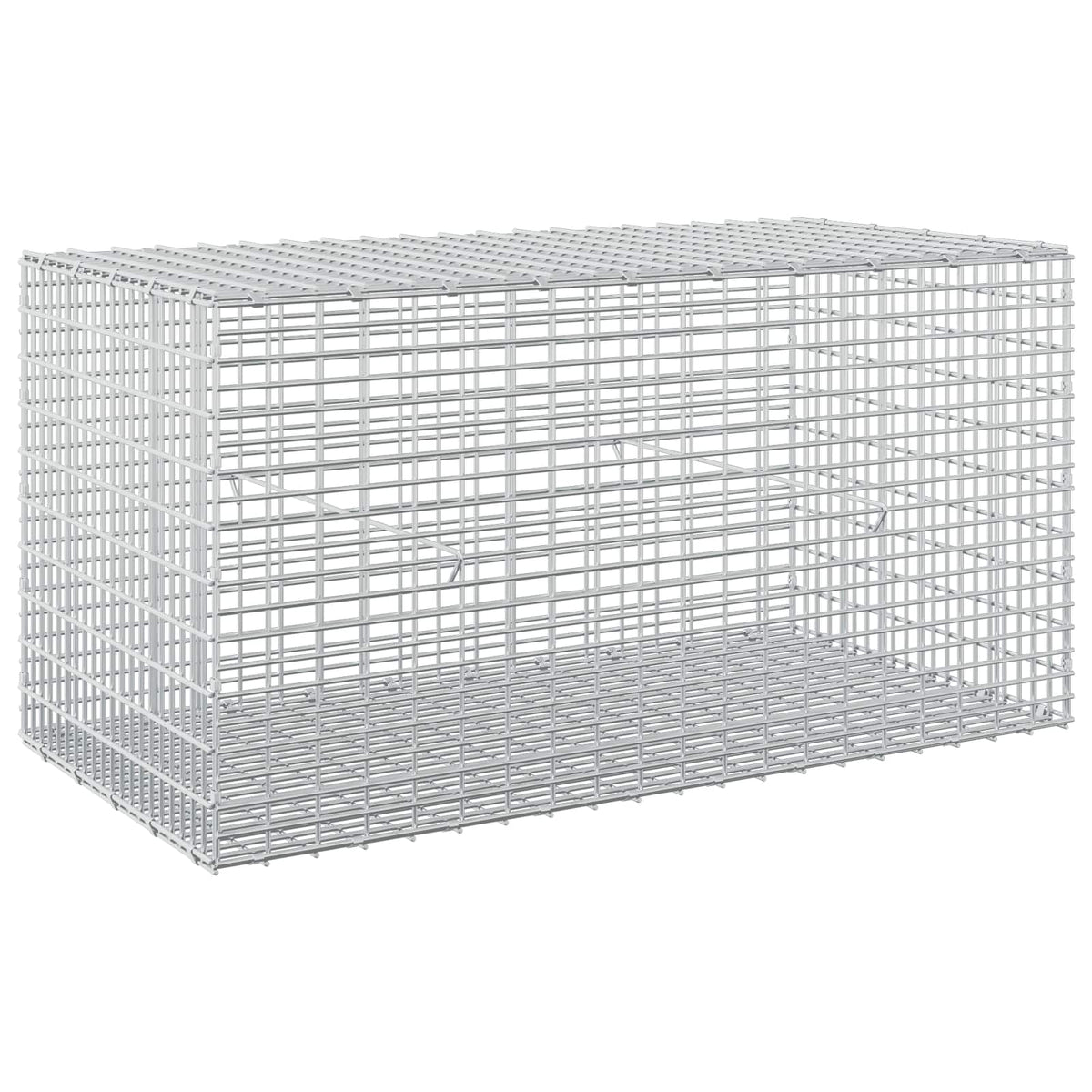 Gabion with 5 mm Wire and 5x2.5 cm Mesh 100x50x50 cm