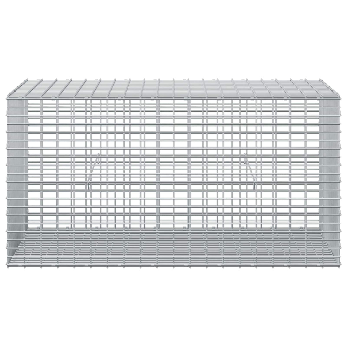 Gabion with 5 mm Wire and 5x2.5 cm Mesh 100x50x50 cm