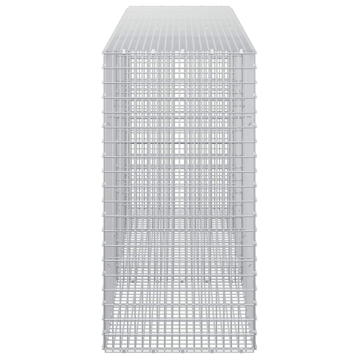 Gabion with 5 mm Wire and 5x2.5 cm Mesh 250x50x100 cm