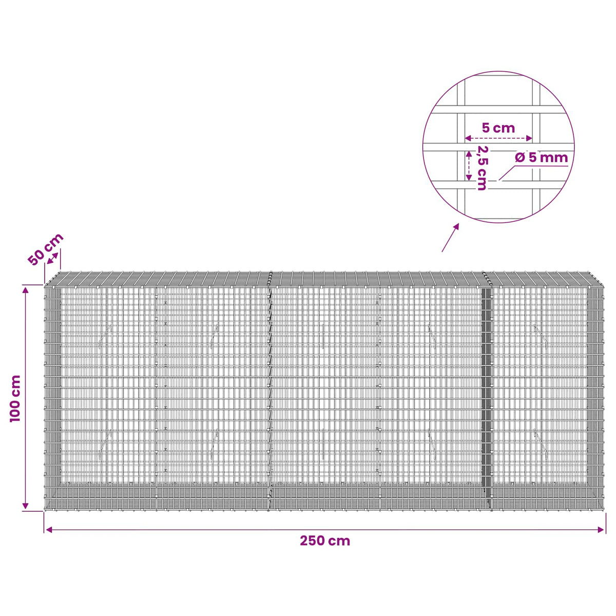 Gabion with 5 mm Wire and 5x2.5 cm Mesh 250x50x100 cm