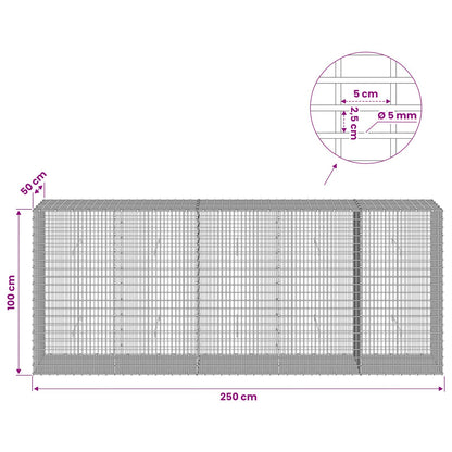 Gabion with 5 mm Wire and 5x2.5 cm Mesh 250x50x100 cm