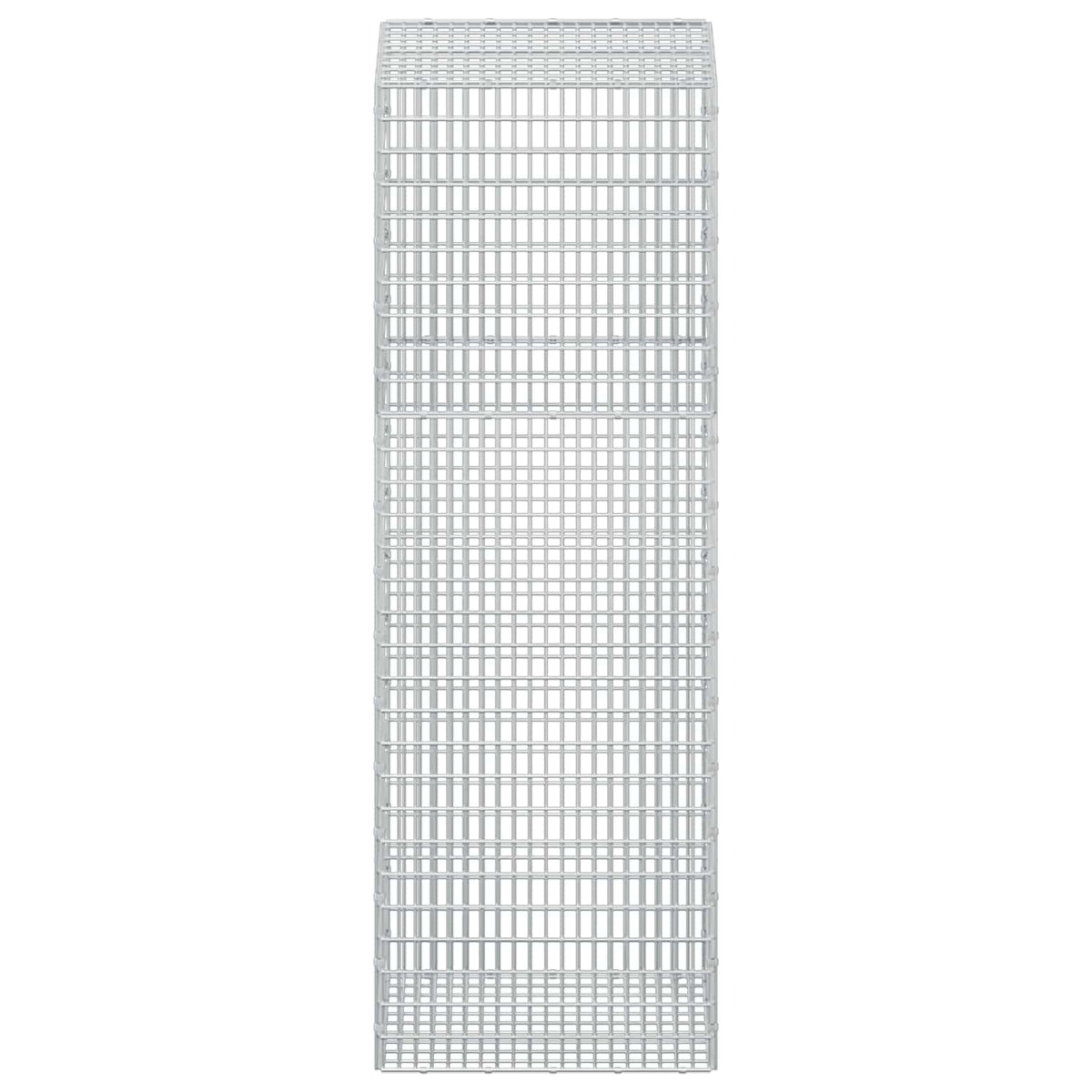 Gabion with 5 mm Wire and 5x2.5 cm Mesh 50x50x150 cm