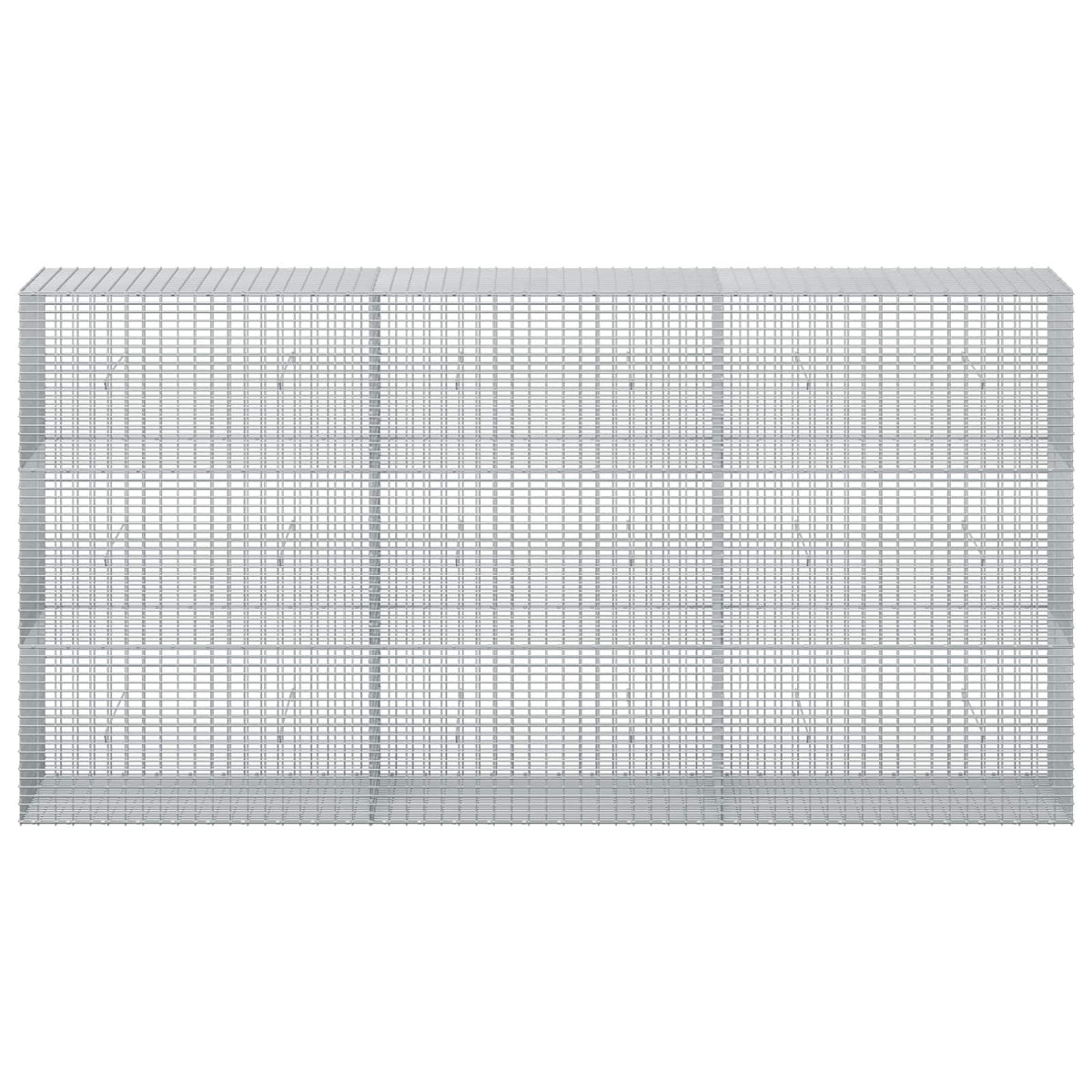 Gabion with 5 mm Wire and 5x2.5 cm Mesh 300x50x150 cm