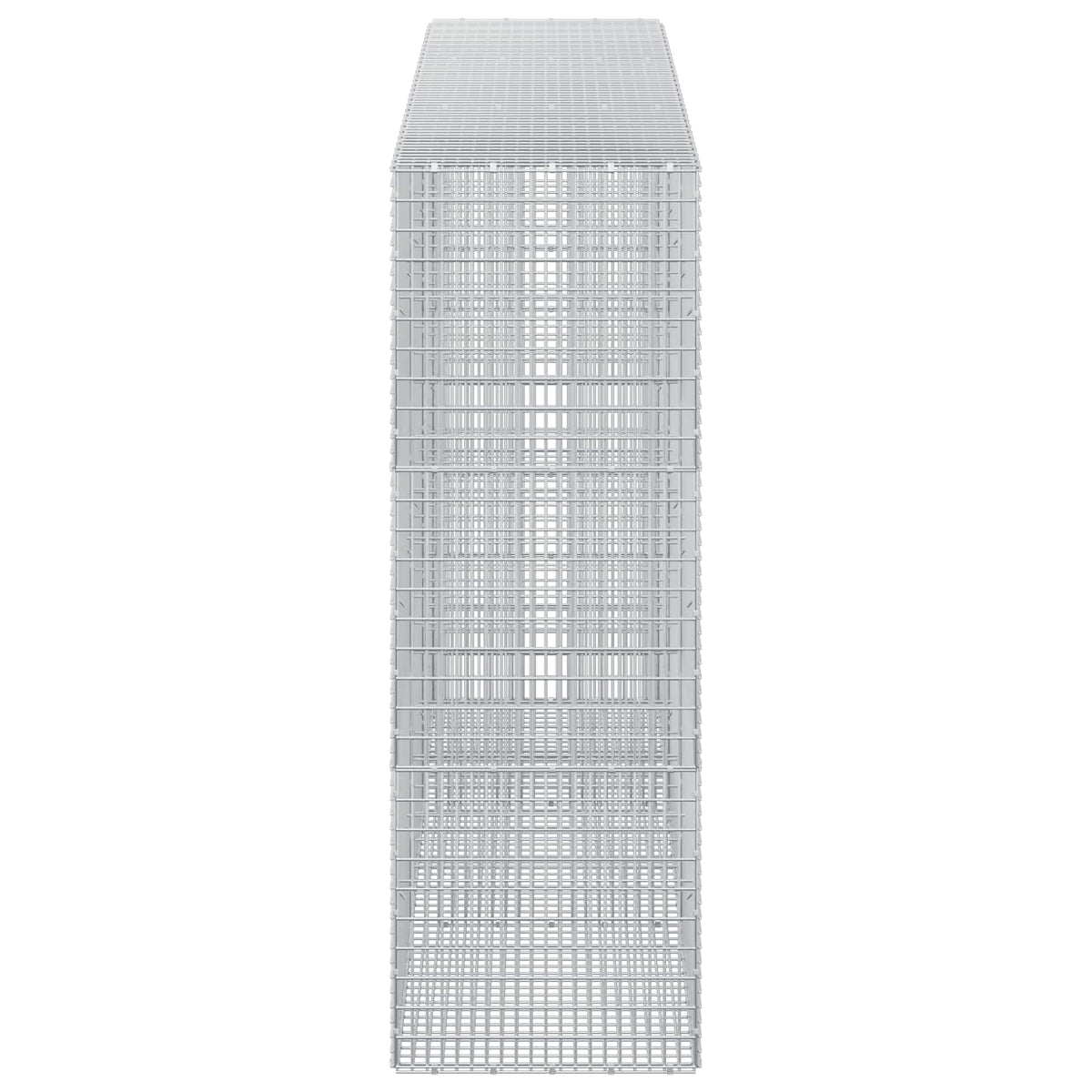 Gabion with 5 mm Wire and 5x2.5 cm Mesh 300x50x150 cm