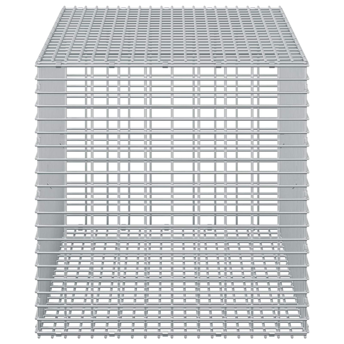 Gabion with 5 mm Wire and 5x2.5 cm Mesh 50x100x50 cm