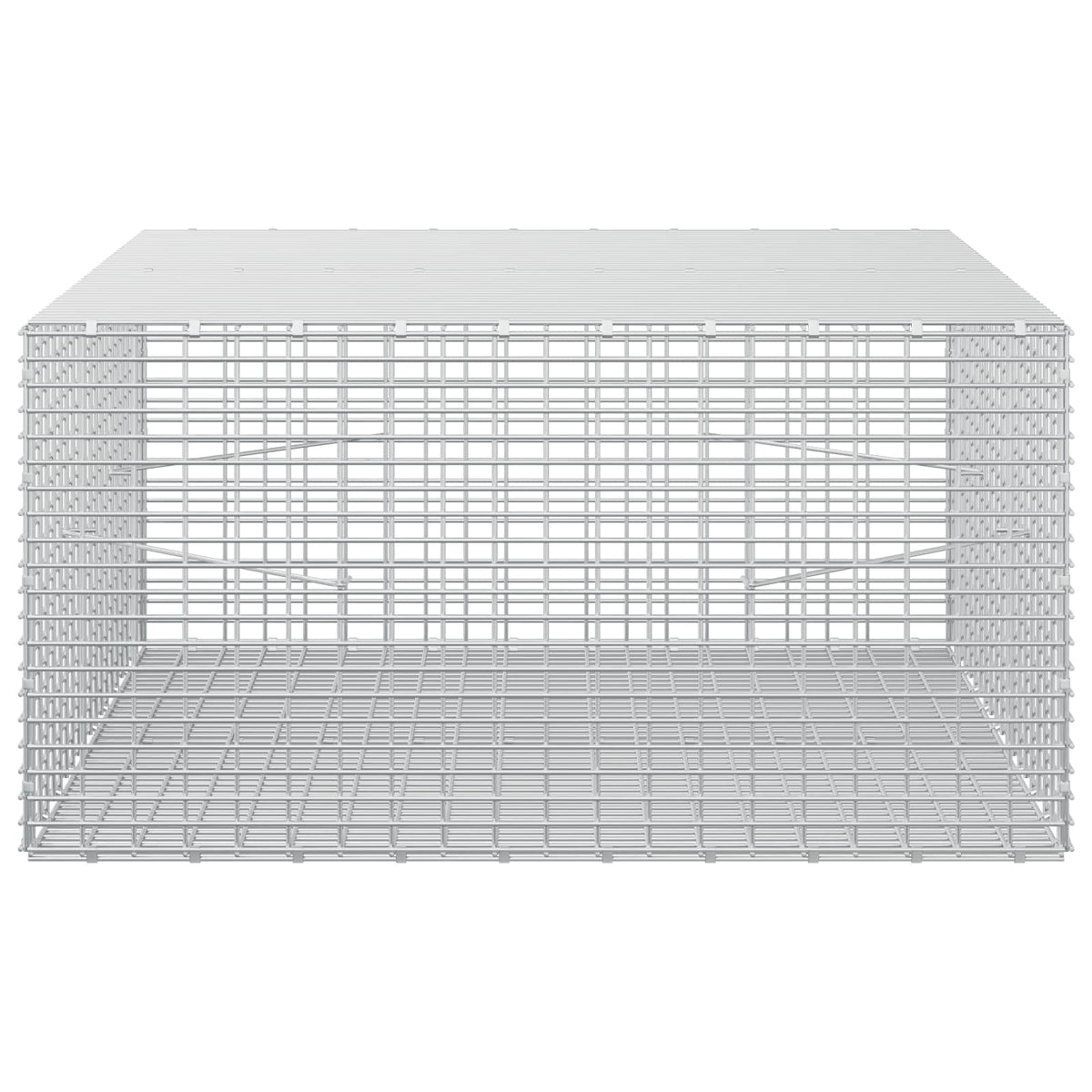 Gabion with 5 mm Wire and 5x2.5 cm Mesh 100x100x50 cm
