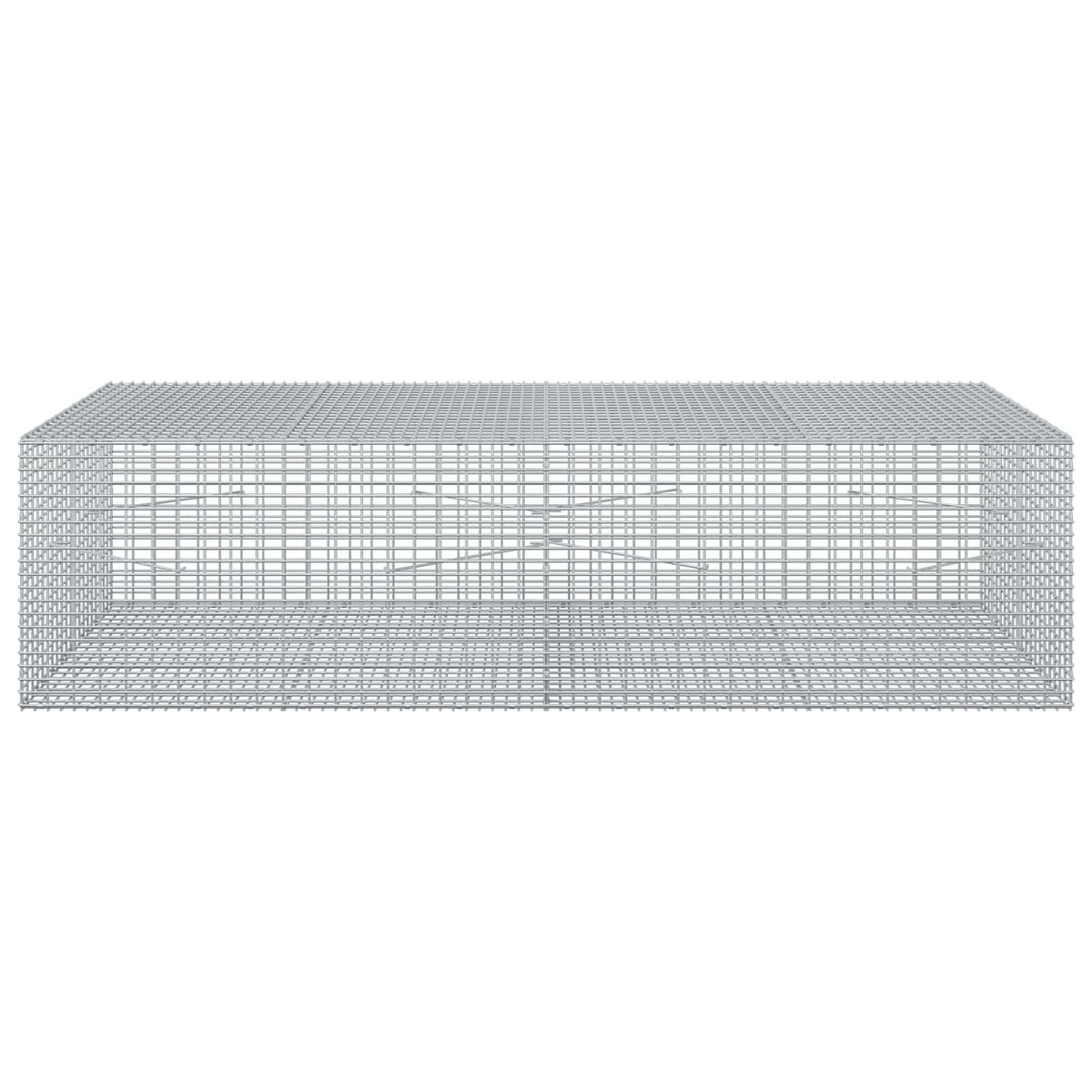Gabion with 5 mm Wire and 5x2.5 cm Mesh 200x100x50 cm