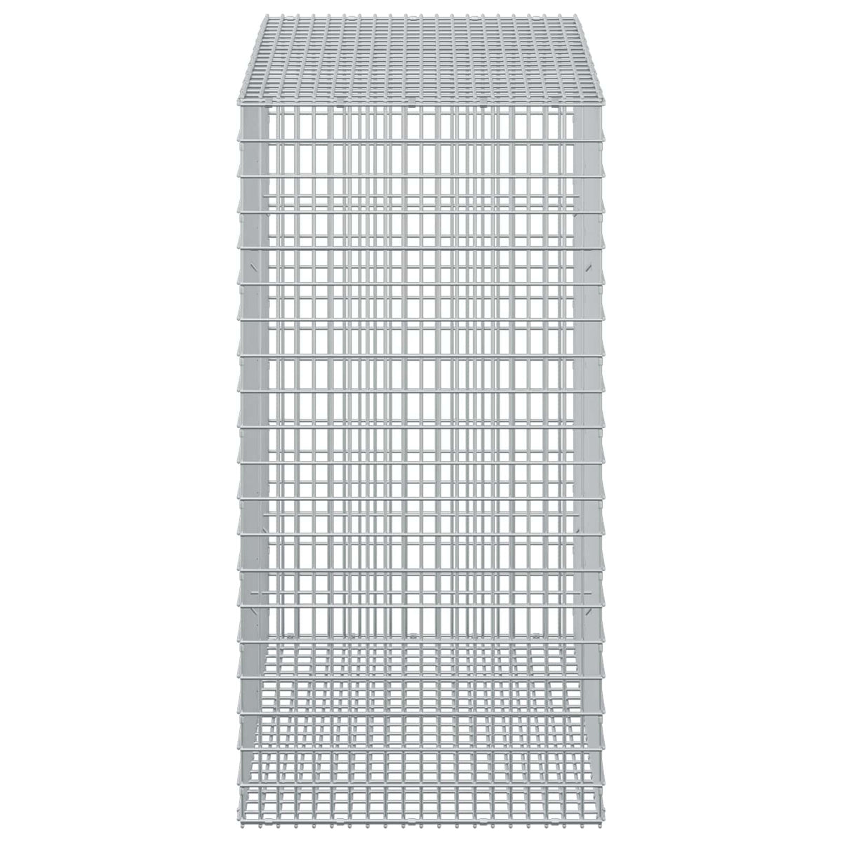 Gabion with 5 mm Wire and 5x2.5 cm Mesh 50x100x100 cm