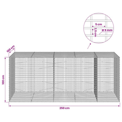 Gabion with 5 mm Wire and 5x2.5 cm Mesh 250x100x100 cm