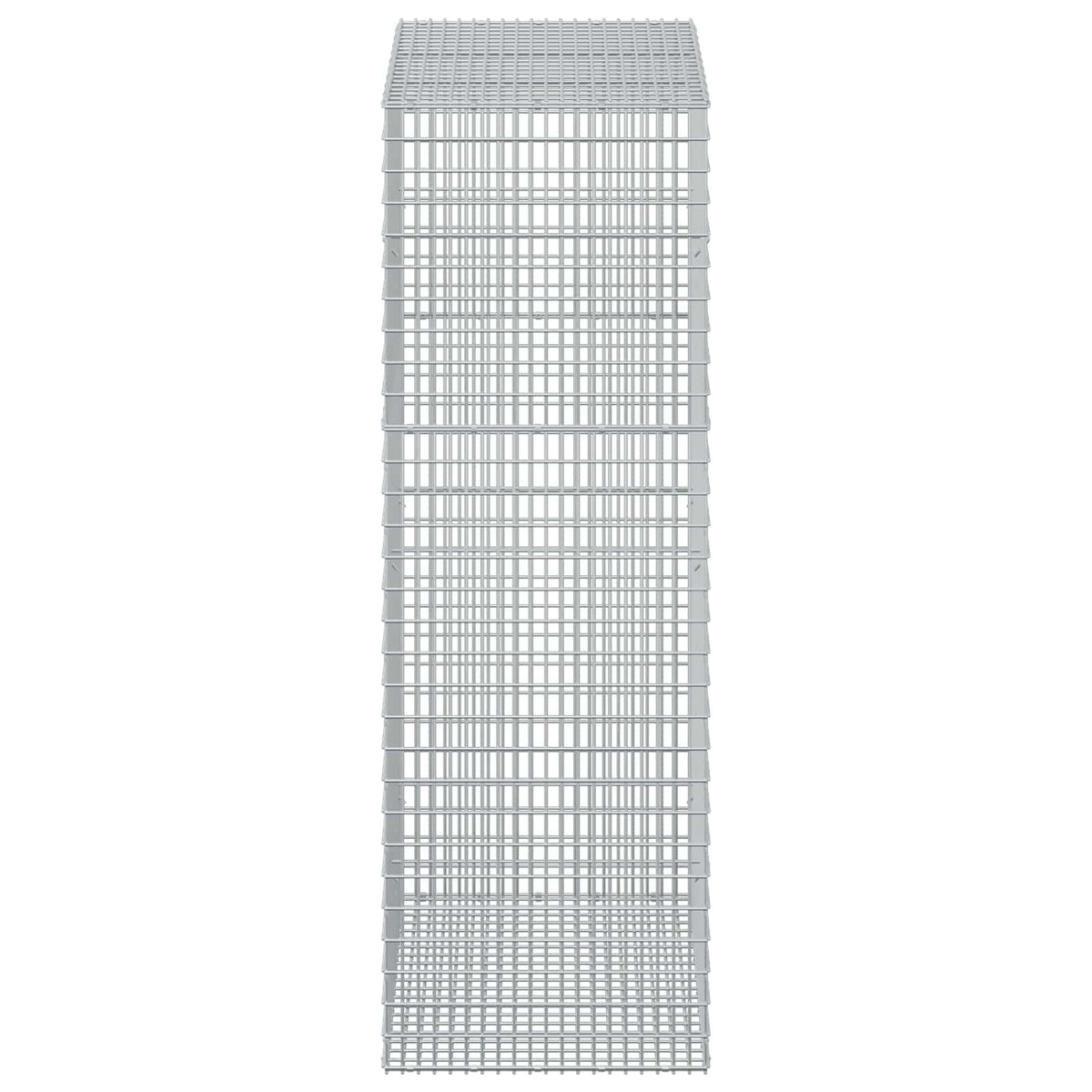 Gabion with 5 mm Wire and 5x2.5 cm Mesh 50x100x150 cm