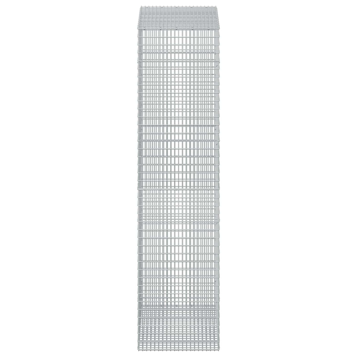Gabion with 5 mm Wire and 5x2.5 cm Mesh 50x100x200 cm