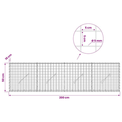 Gabion with 5 mm Wire and 5x5 cm Mesh 200x10x50 cm