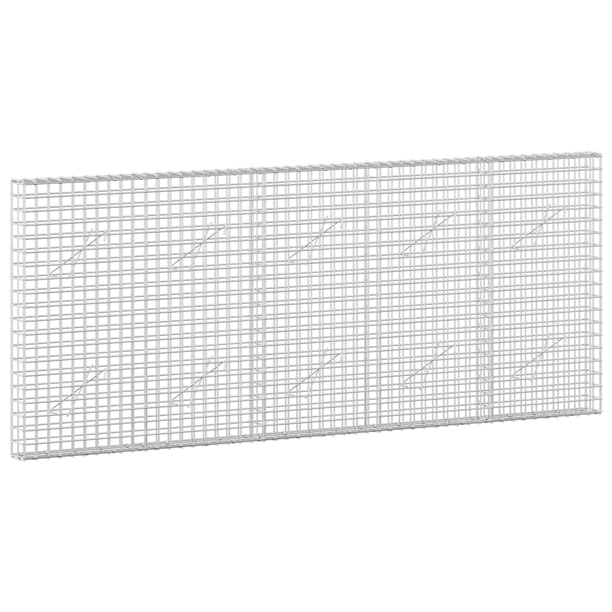 Gabion with 5 mm Wire and 5x5 cm Mesh 250x10x100 cm