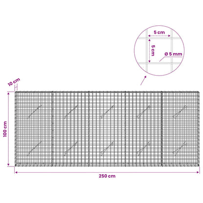Gabion with 5 mm Wire and 5x5 cm Mesh 250x10x100 cm