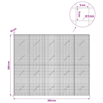 Gabion with 5 mm Wire and 5x5 cm Mesh 250x10x200 cm
