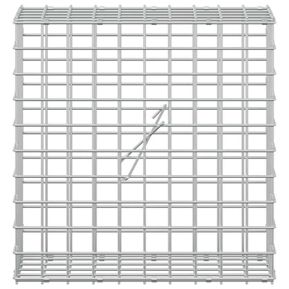 Gabion with 5 mm Wire and 5x5 cm Mesh 50x20x50 cm