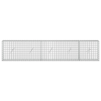 Gabion with 5 mm Wire and 5x5 cm Mesh 250x20x50 cm