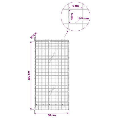 Gabion with 5 mm Wire and 5x5 cm Mesh 50x20x100 cm