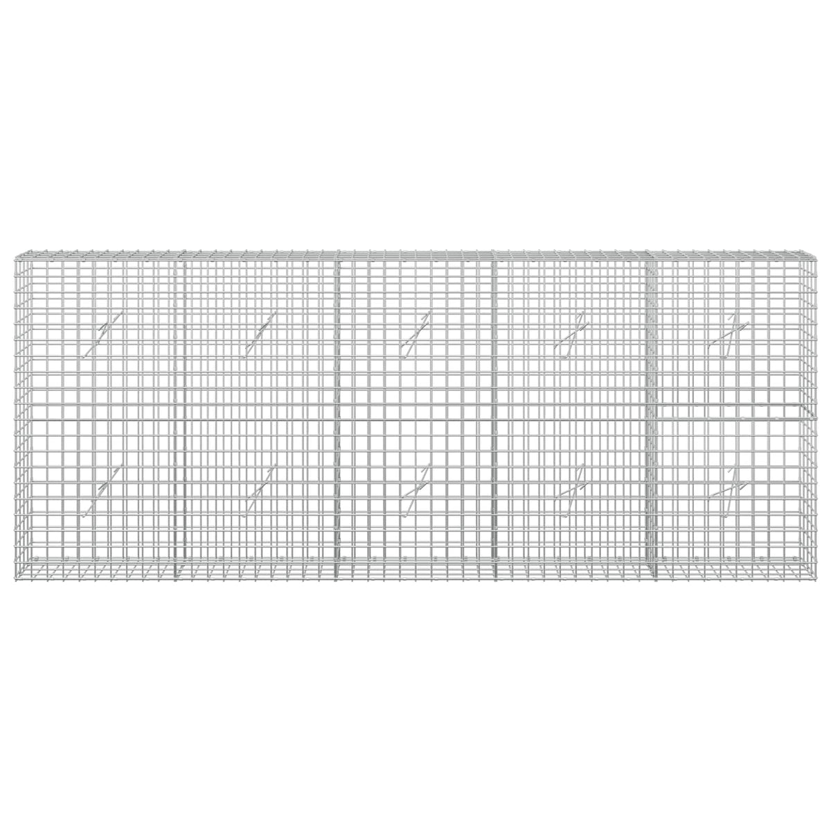 Gabion with 5 mm Wire and 5x5 cm Mesh 250x20x100 cm