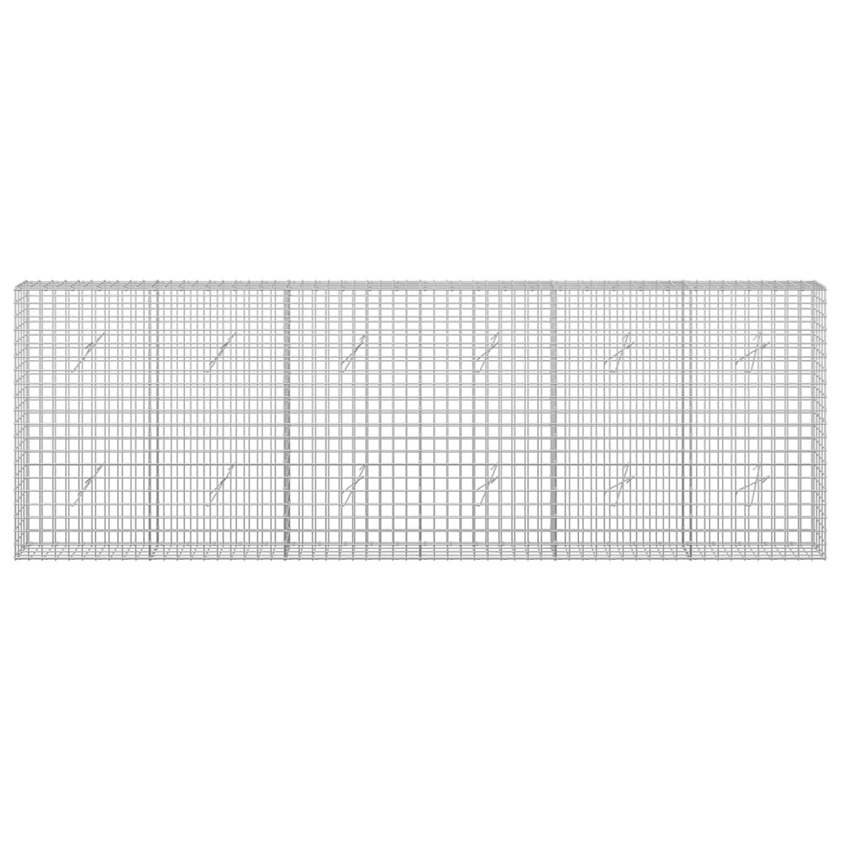Gabion with 5 mm Wire and 5x5 cm Mesh 300x20x100 cm