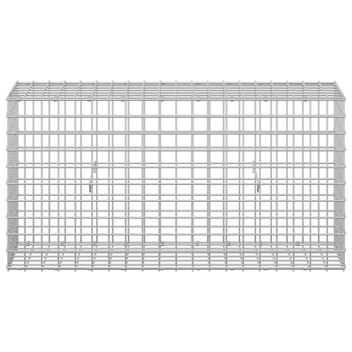 Gabion with 5 mm Wire and 5x5 cm Mesh 100x30x50 cm