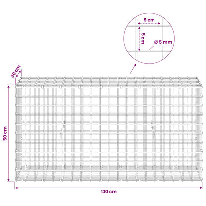 Gabion with 5 mm Wire and 5x5 cm Mesh 100x30x50 cm
