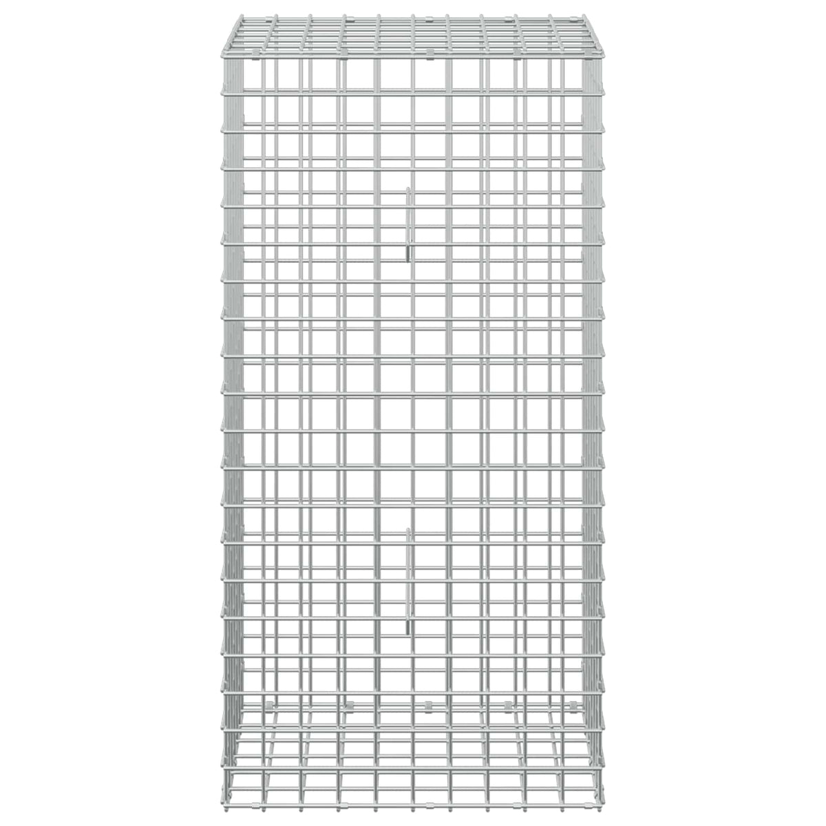 Gabion with 5 mm Wire and 5x5 cm Mesh 50x30x100 cm