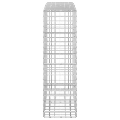 Gabion with 5 mm Wire and 5x5 cm Mesh 100x30x100 cm