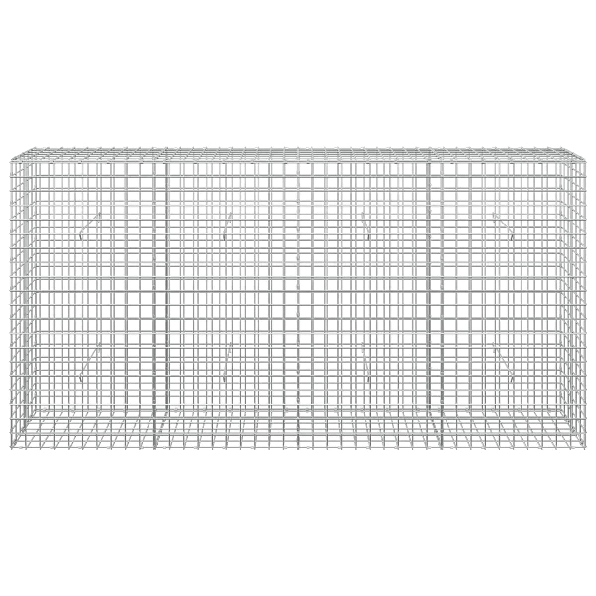 Gabion with 5 mm Wire and 5x5 cm Mesh 200x30x100 cm