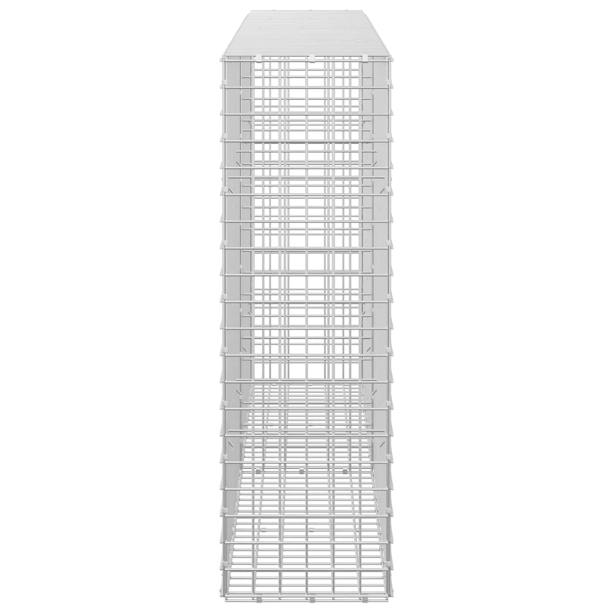Gabion with 5 mm Wire and 5x5 cm Mesh 200x30x100 cm