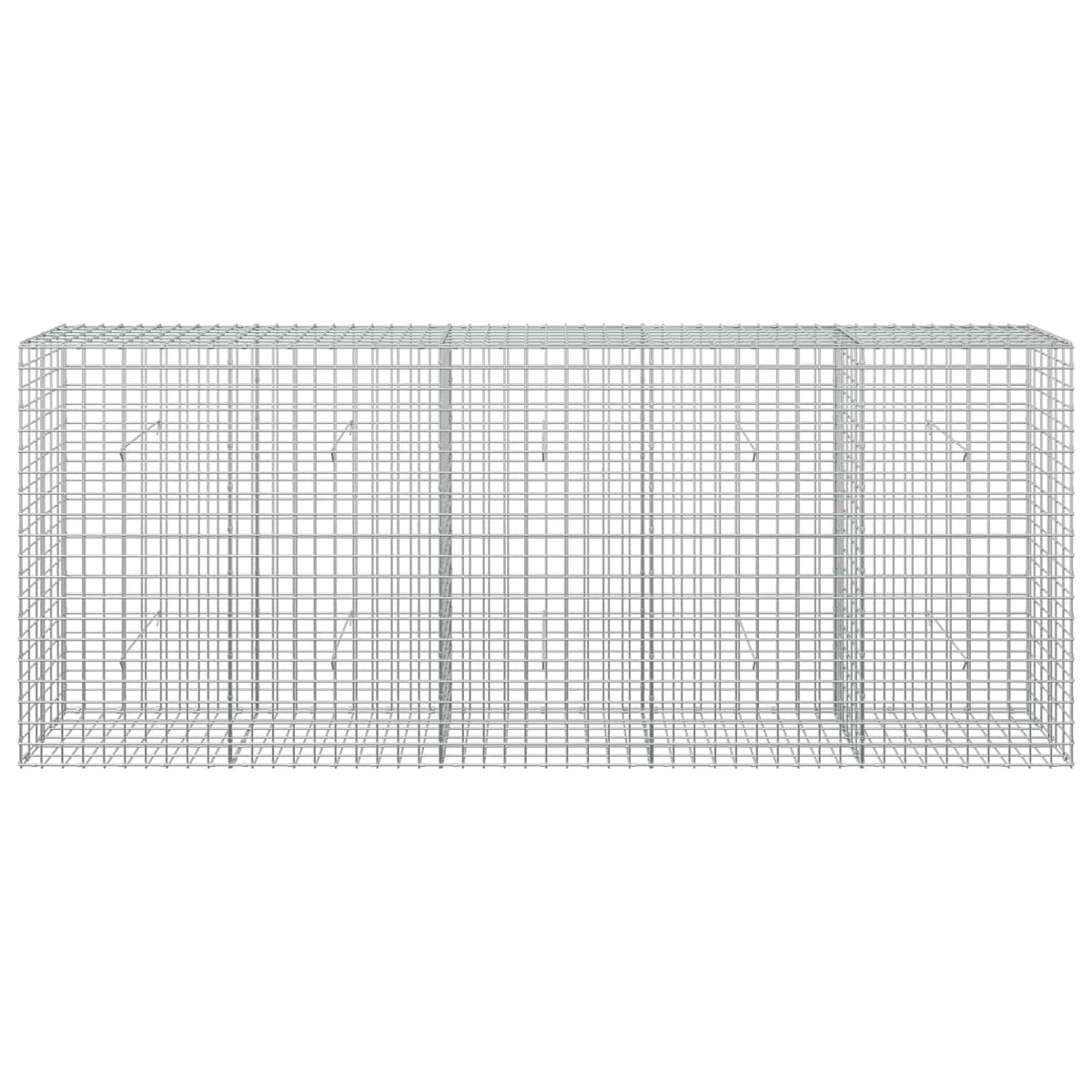 Gabion with 5 mm Wire and 5x5 cm Mesh 250x30x100 cm