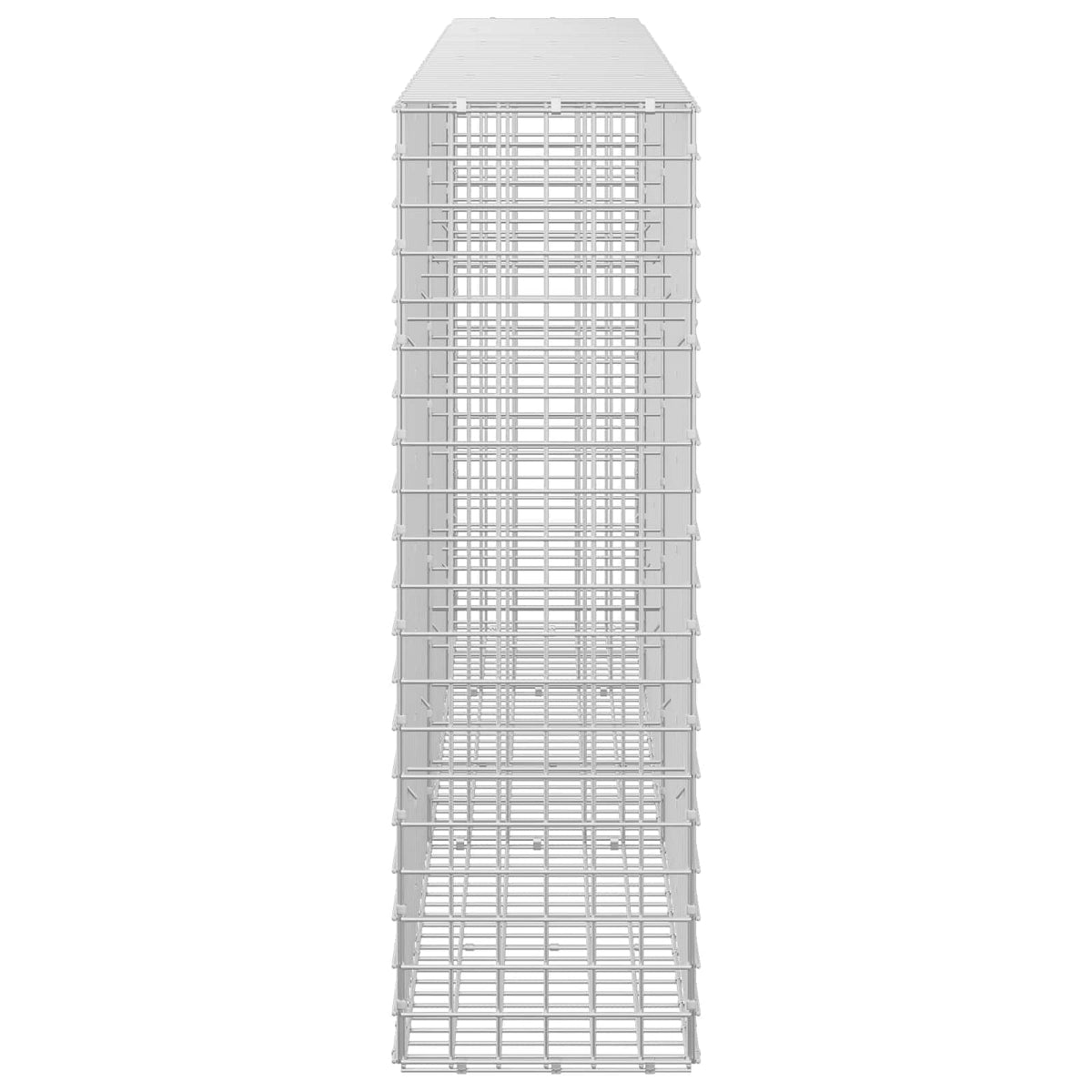Gabion with 5 mm Wire and 5x5 cm Mesh 250x30x100 cm