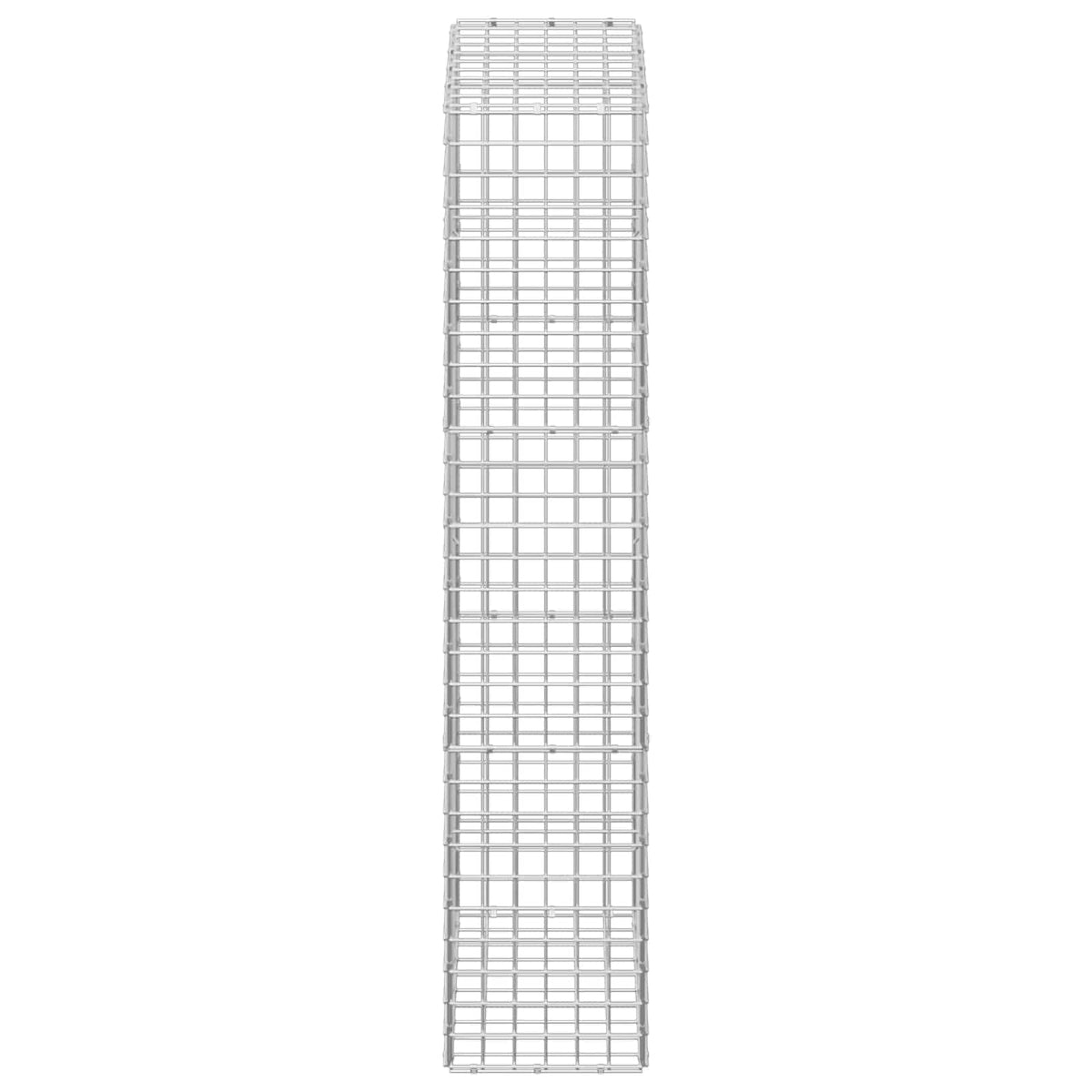 Gabion with 5 mm Wire and 5x5 cm Mesh 50x30x150 cm