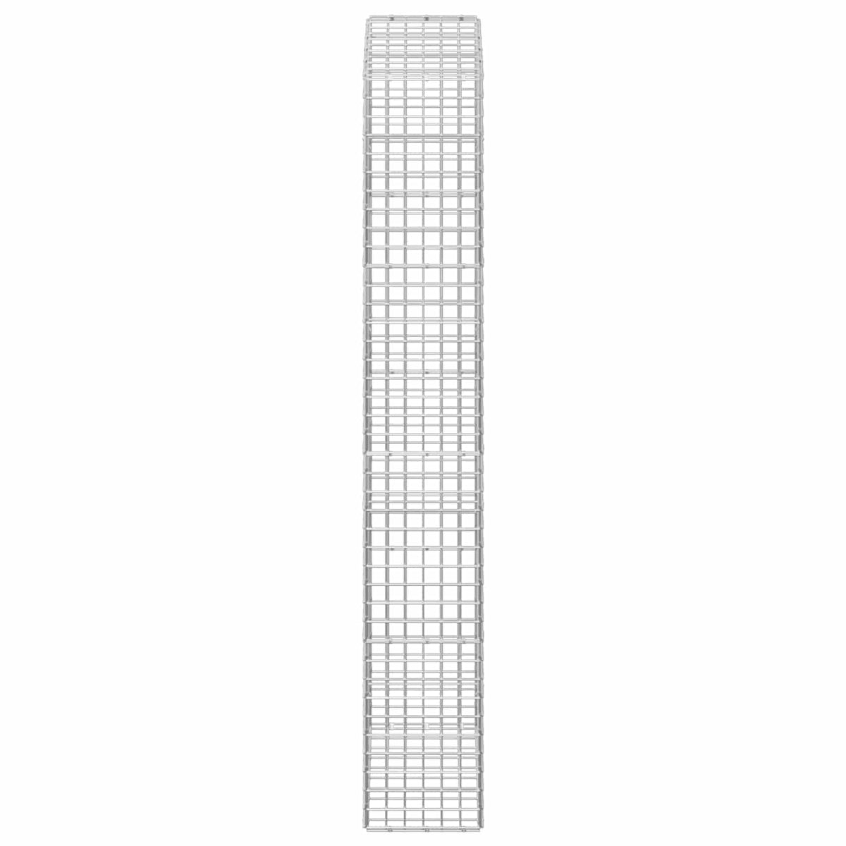 Gabion with 5 mm Wire and 5x5 cm Mesh 50x30x200 cm