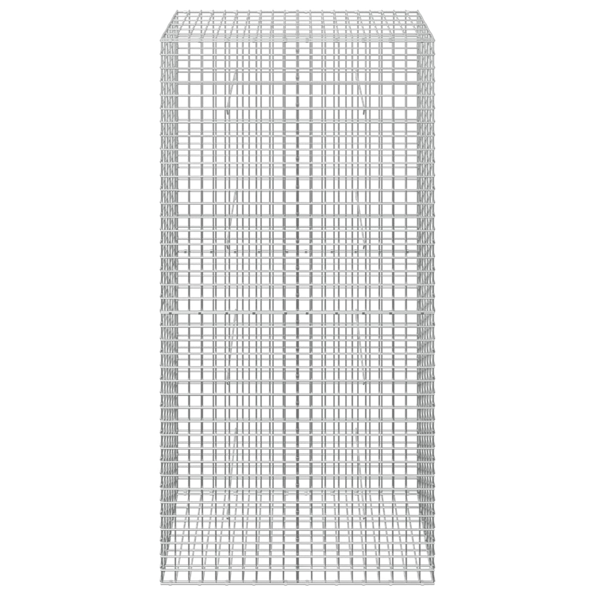 Gabion with 5 mm Wire and 5x5 cm Mesh 100x30x200 cm