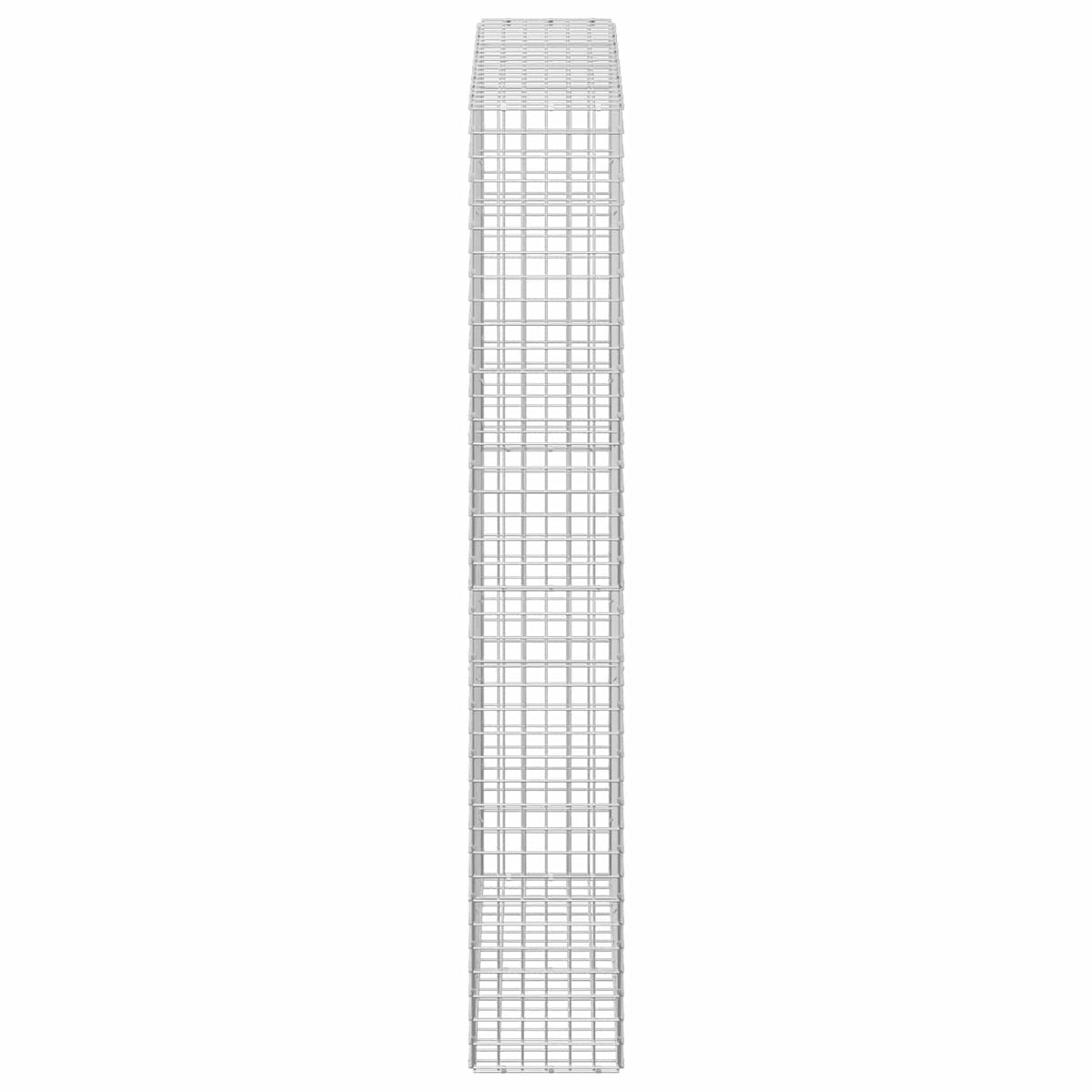 Gabion with 5 mm Wire and 5x5 cm Mesh 100x30x200 cm