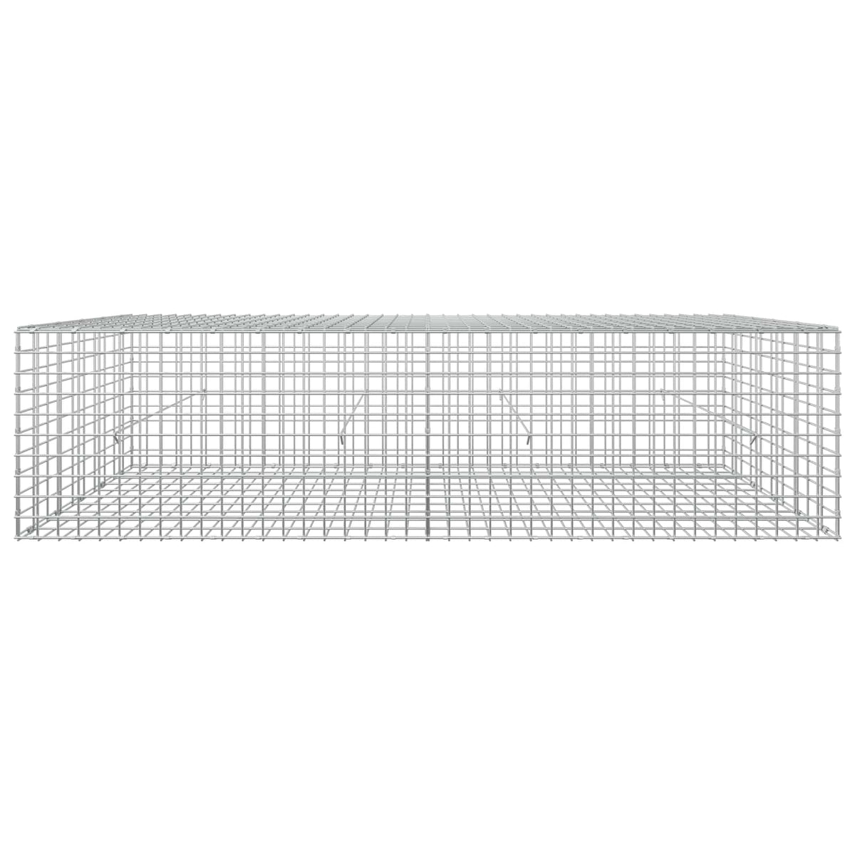 Gabion with 5 mm Wire and 5x5 cm Mesh 200x50x50 cm