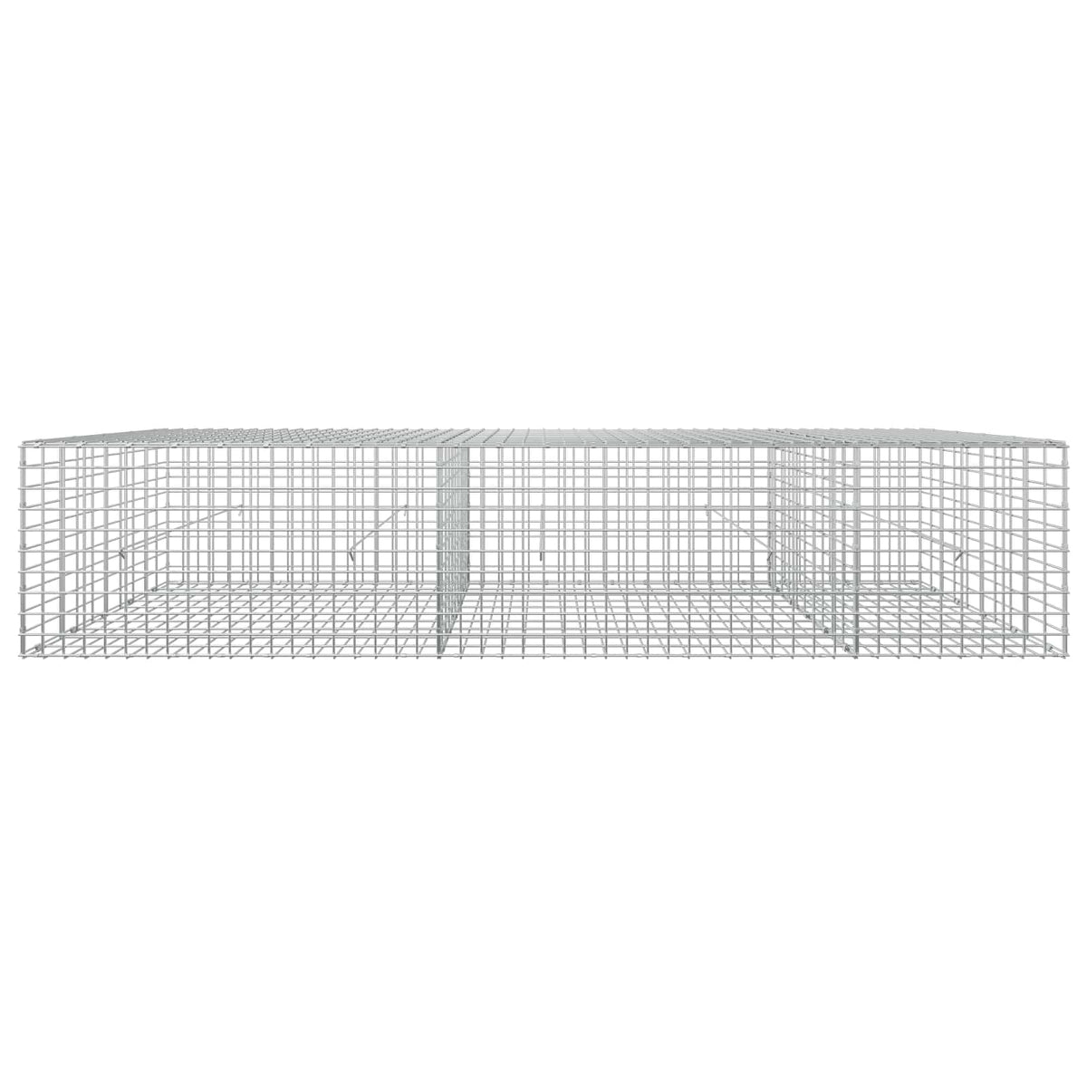 Gabion with 5 mm Wire and 5x5 cm Mesh 250x50x50 cm