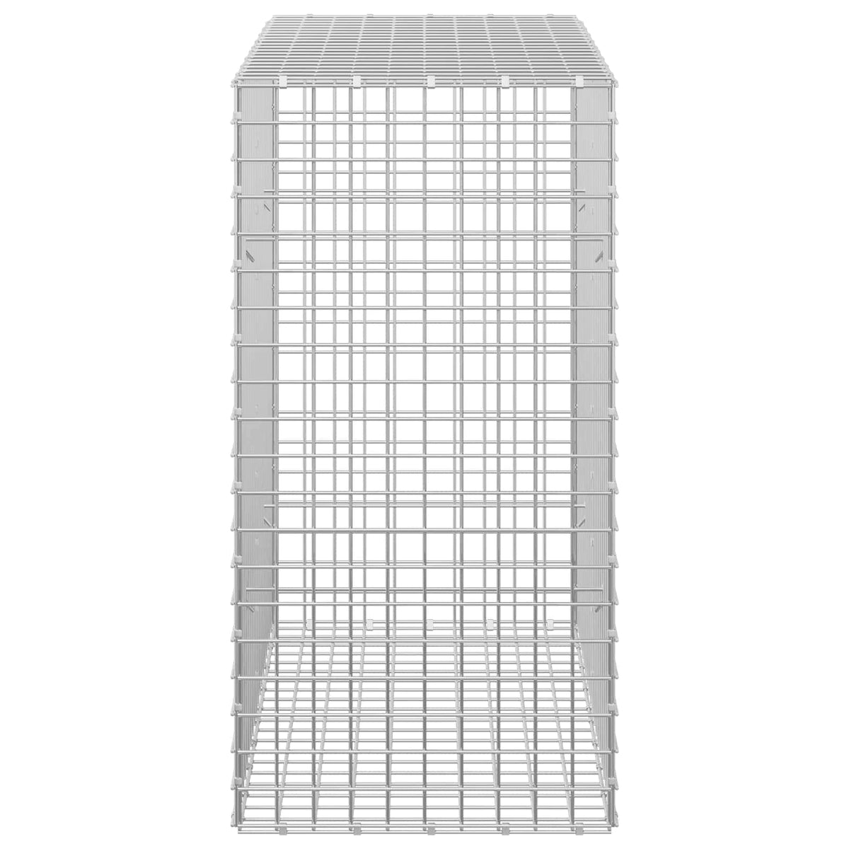 Gabion with 5 mm Wire and 5x5 cm Mesh 100x50x100 cm