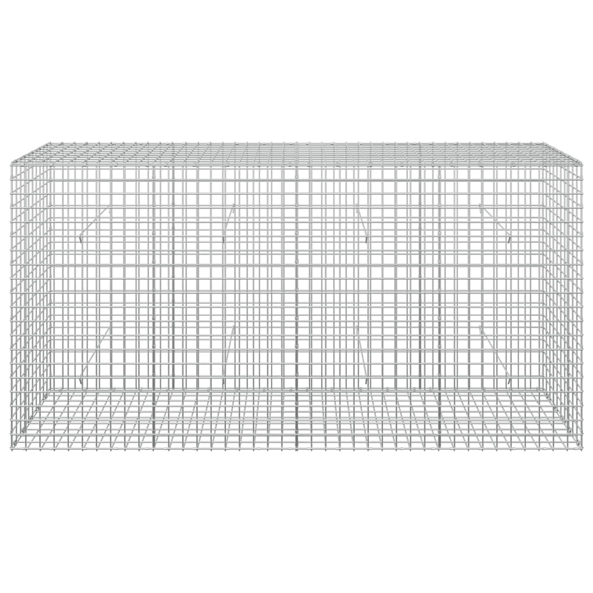 Gabion with 5 mm Wire and 5x5 cm Mesh 200x50x100 cm