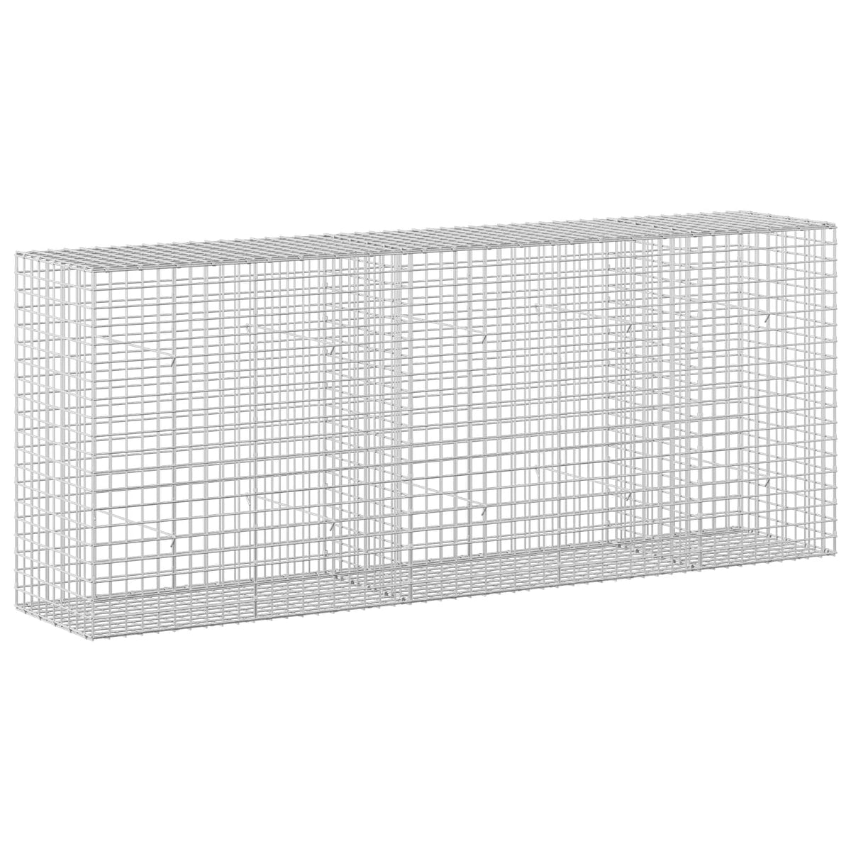 Gabion with 5 mm Wire and 5x5 cm Mesh 250x50x100 cm