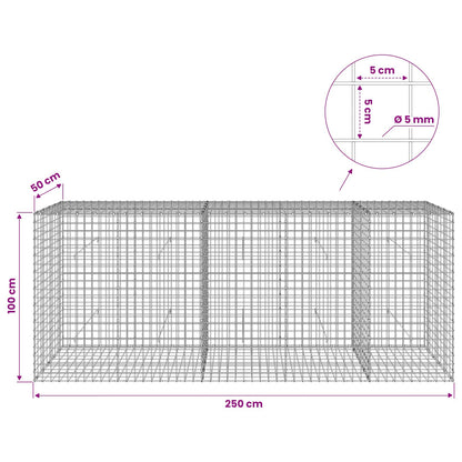 Gabion with 5 mm Wire and 5x5 cm Mesh 250x50x100 cm