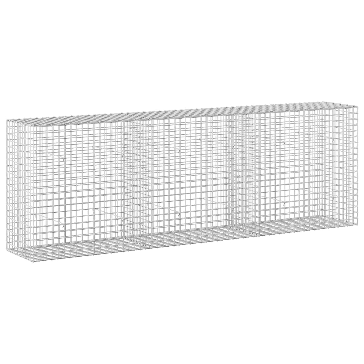 Gabion with 5 mm Wire and 5x5 cm Mesh 300x50x100 cm
