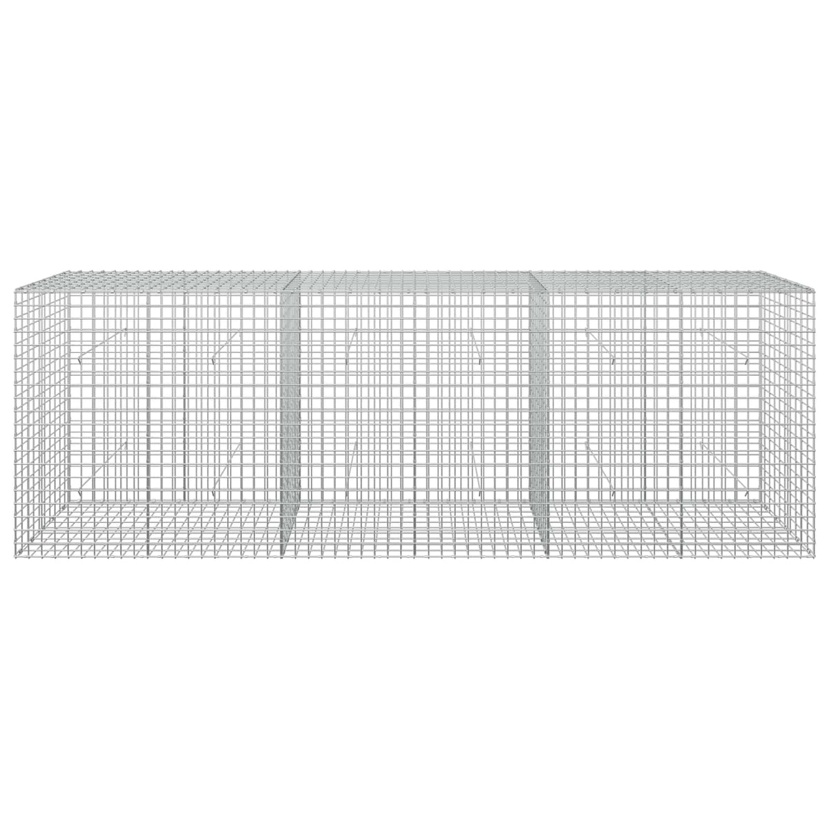 Gabion with 5 mm Wire and 5x5 cm Mesh 300x50x100 cm
